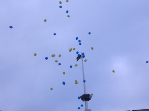 Партія регіонів приєдналась до урочистостей з нагоди підняття Державного Прапора України